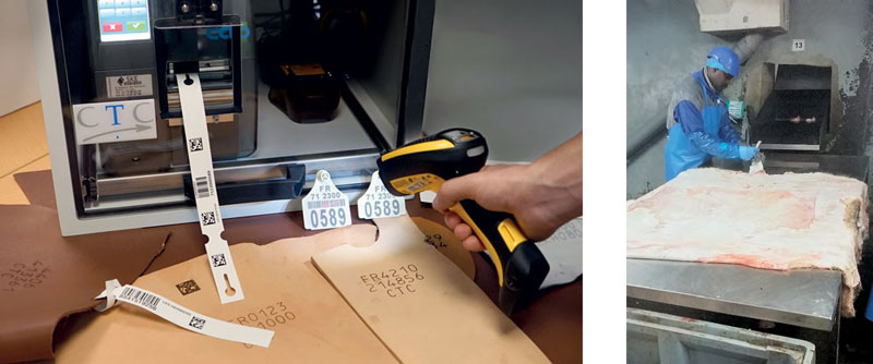 Slaughterhouse labeller and Industrial use in a slaughterhouse leather traceability - Slaughterhouse labeller