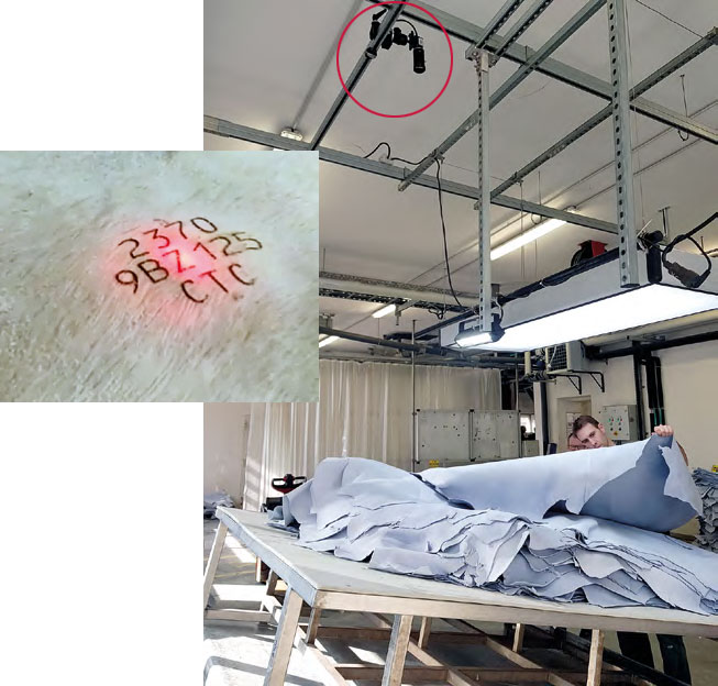 Laser marking on a raw hide and Matrix camera automatic mark reading device Laser marking on a raw hide and Matrix camera automatic mark reading device