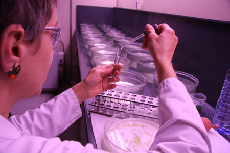 © CTC Technicienne de laboratoire manipulant des échantillons