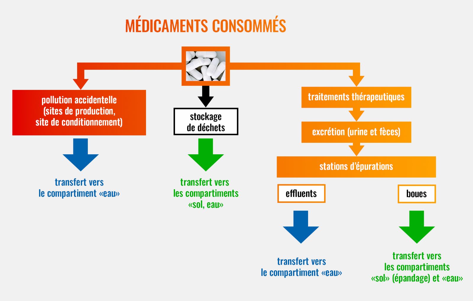 Voies principales de pollution des rejets et résidus médicamenteux