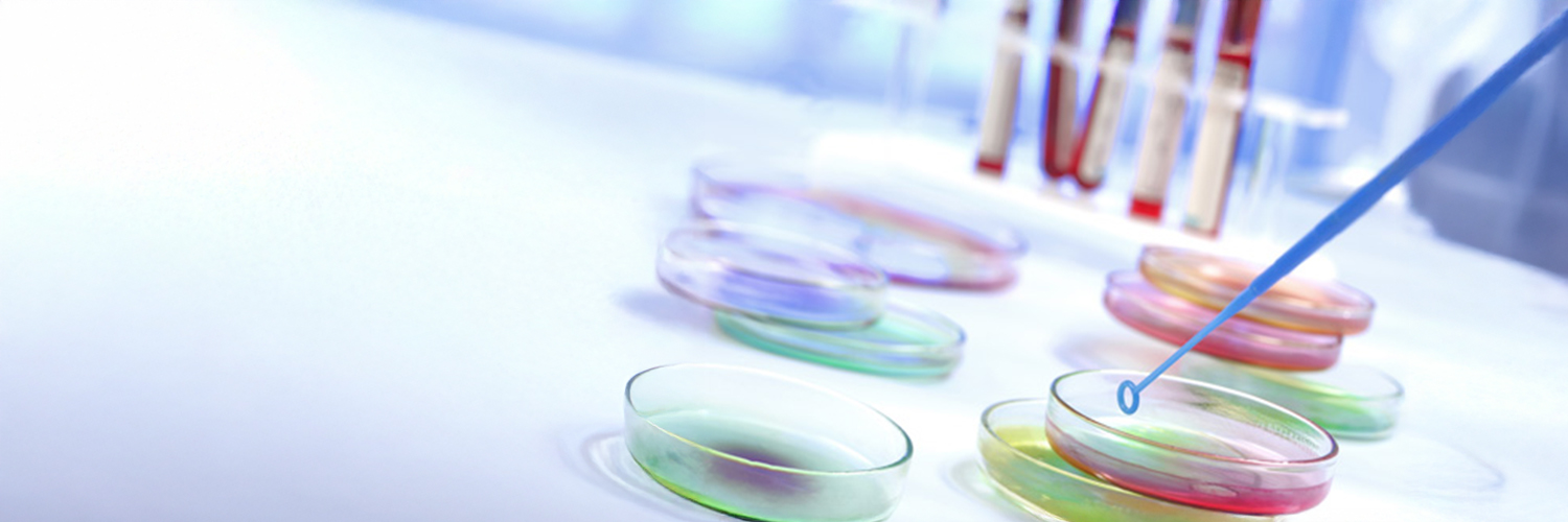 © Fotolia - Jpc prod boîte de Petri en verre pour analyse microbiologique