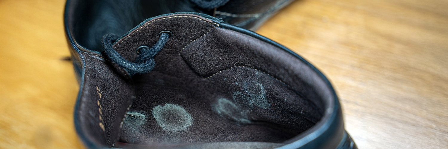 © Adobe Stock - Alejandro Montecatine Moisissure sur une chaussure noire