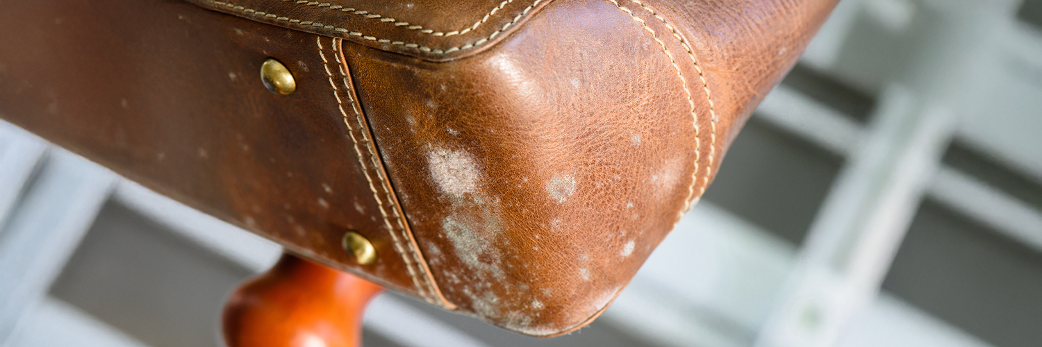 © Adobe Stock NorGal Traces de moisissure sur un sac en cuir marron