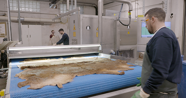 Equipement de traçabilité du cuir © CTC Opérateurs en tannerie